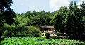 長(zhǎng)沙出發(fā)到花明樓、韶山、張家界國(guó)家森林公園、天門仙山國(guó)家森林公園四日游